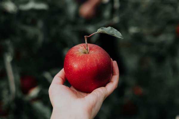 ALIMENTATION DETOX : COMMENT ÉLIMINER LES TOXINES ?